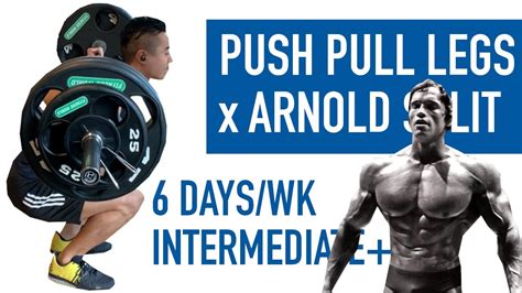 ppl/arnold split|PPL